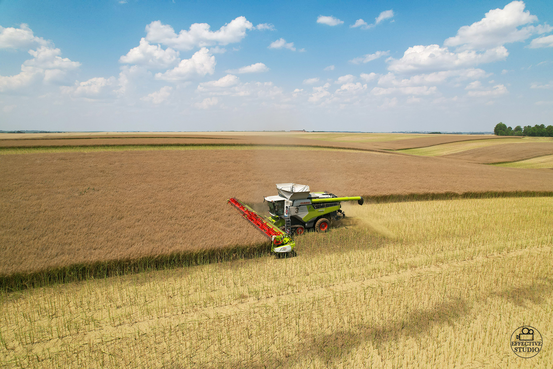Claas Lexion 8900 młóci rzepak – zdjęcie wykonane dronem