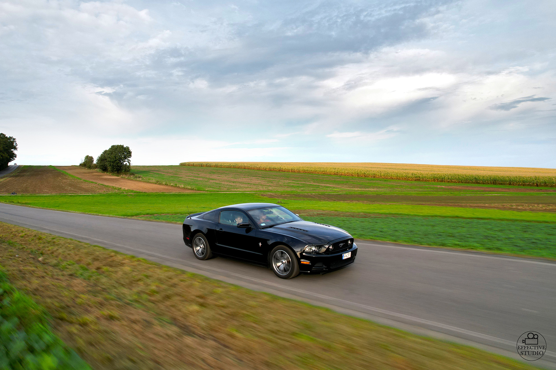 Ford Mustang V6