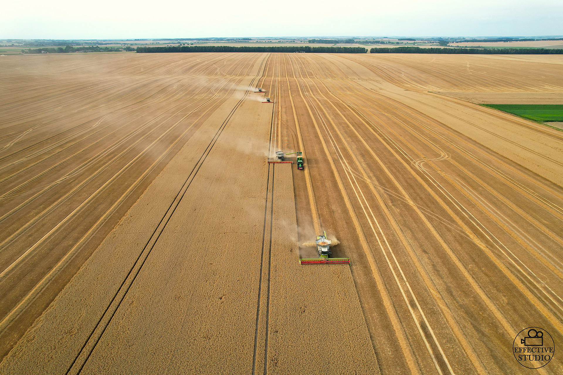 4 kombajny Claas Lexion młócące pszenicę na polu, zdjęcia dronem w Kombinat Rolny Kietrz.